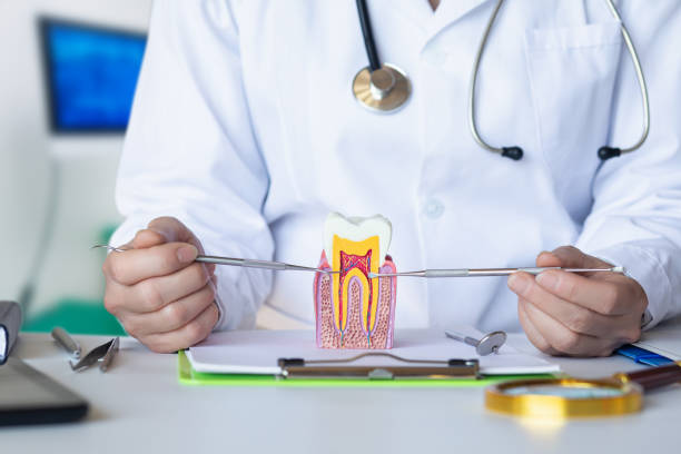 Best Pediatric Emergency Dentist in Oreana, IL